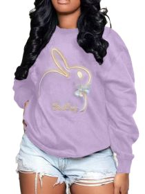 Plus Size Embroidery O Neck Long Sleeve Sweatshirts Top (Color: light purple, size: XL)