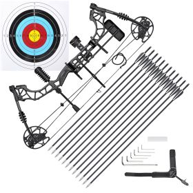 Adult professional compound bow (Warehouse: LA01)